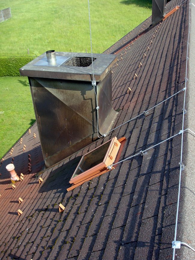 Blitzschlaganalge Alternativer Text